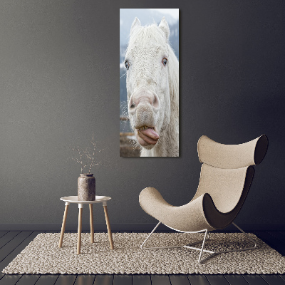 Wall art canvas large Crazy white horse