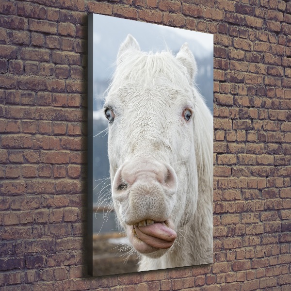 Wall art canvas large Crazy white horse