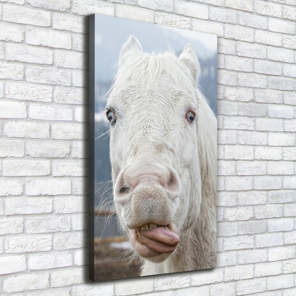 Wall art canvas large Crazy white horse