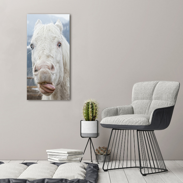 Wall art canvas large Crazy white horse