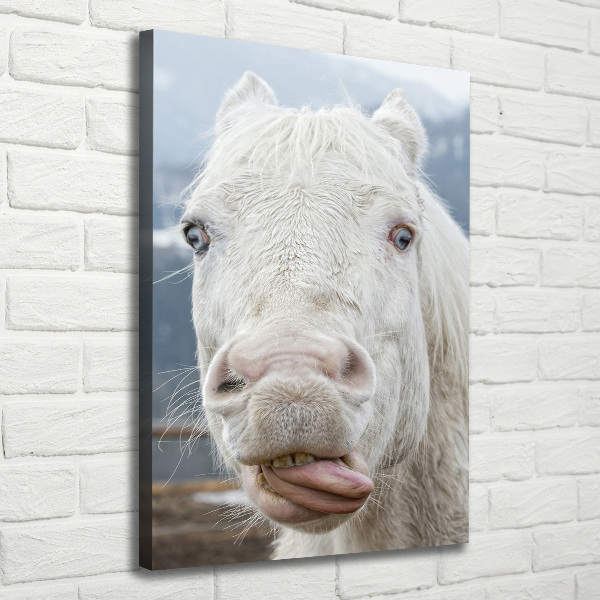 Wall art canvas large Crazy white horse