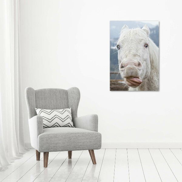 Wall art canvas large Crazy white horse