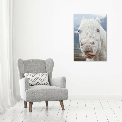 Wall art canvas large Crazy white horse