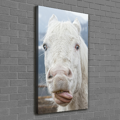 Wall art canvas large Crazy white horse