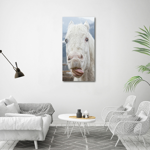 Wall art canvas large Crazy white horse