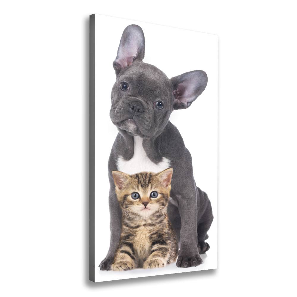 Large canvas wall art Dog and cat