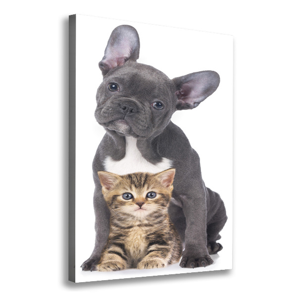 Large canvas wall art Dog and cat