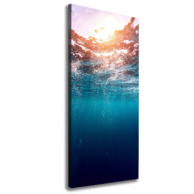 Canvas print Underwater