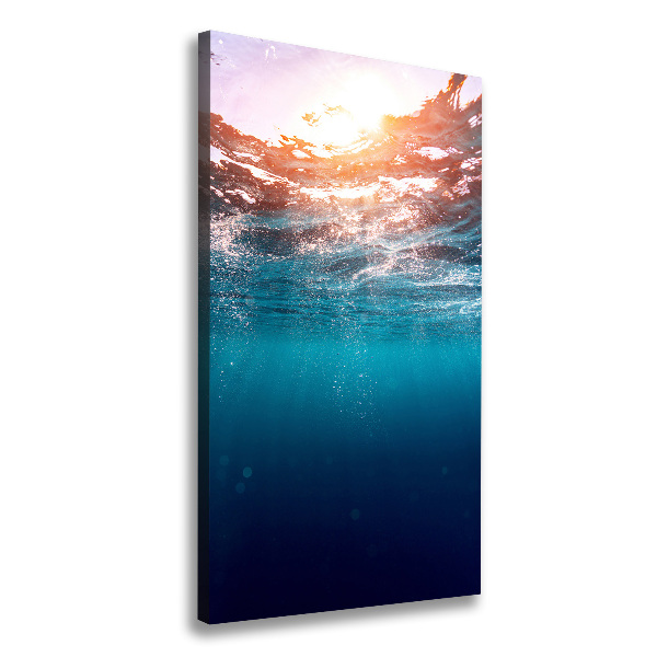 Canvas print Underwater