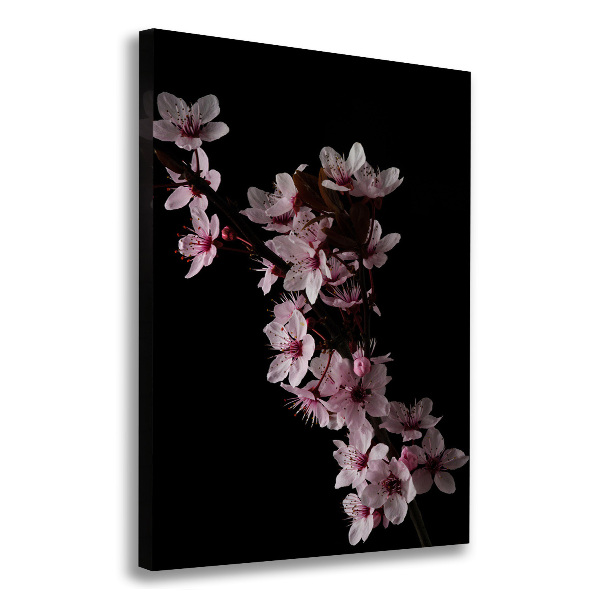 Canvas wall art Cherry blossoms