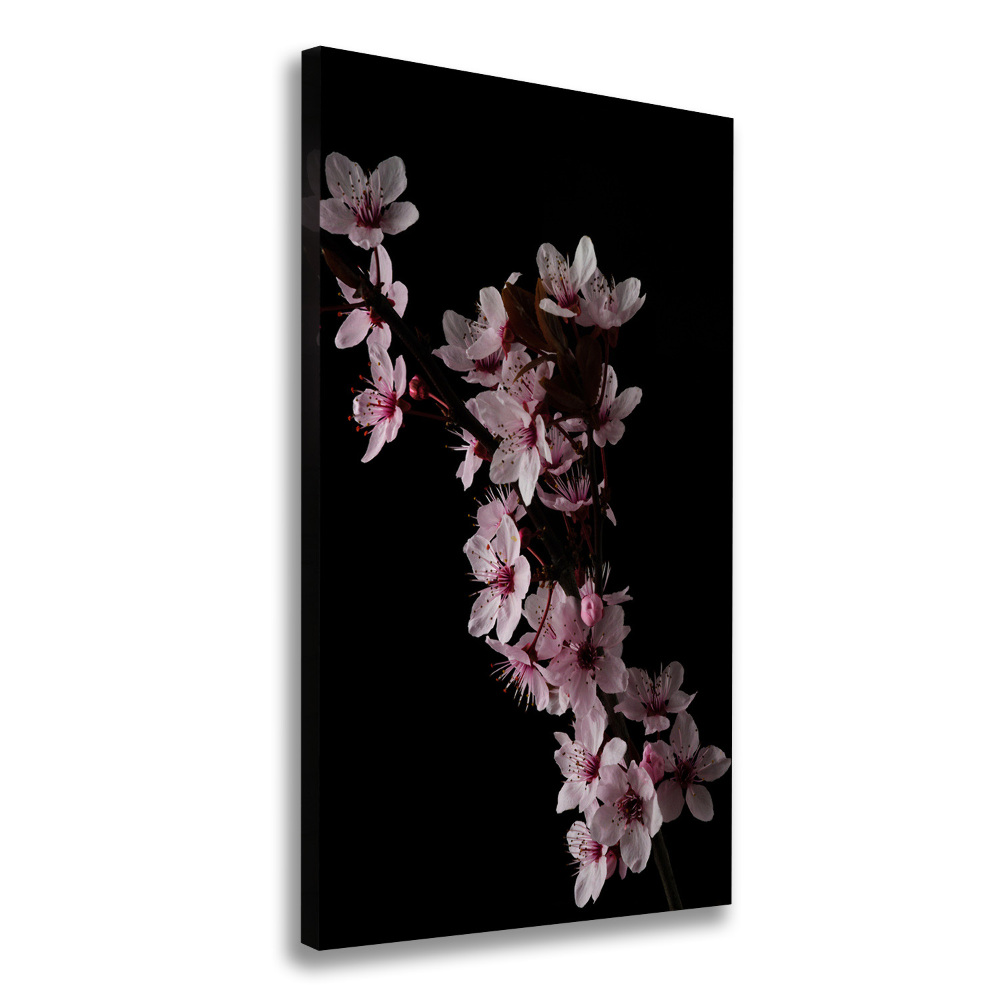 Canvas wall art Cherry blossoms