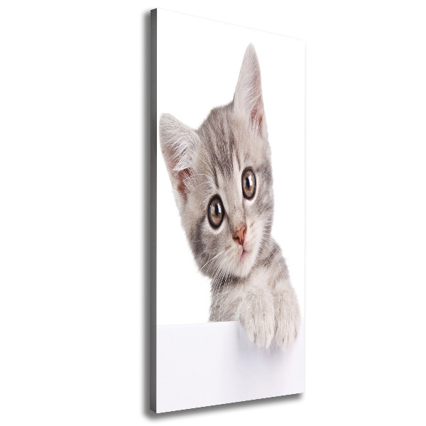 Large canvas wall art Gray cat