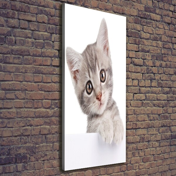 Large canvas wall art Gray cat