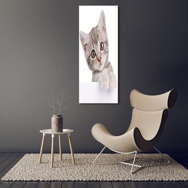 Large canvas wall art Gray cat