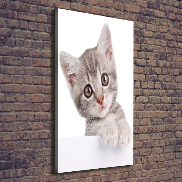 Large canvas wall art Gray cat