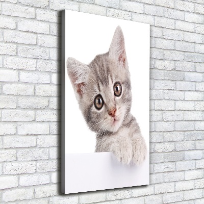 Large canvas wall art Gray cat