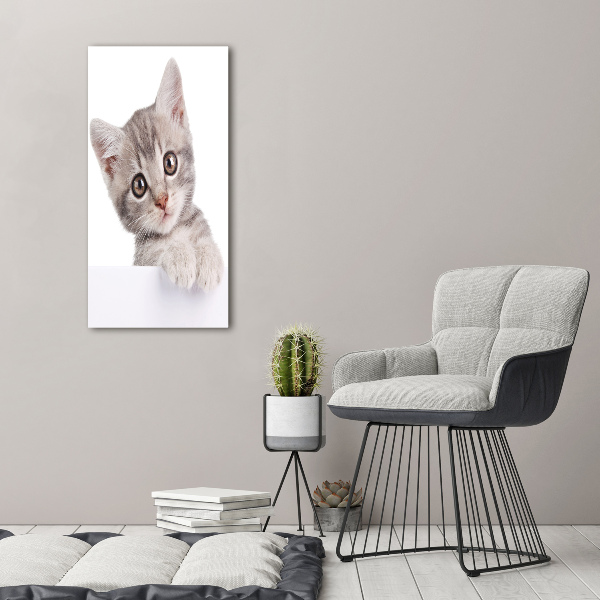 Large canvas wall art Gray cat