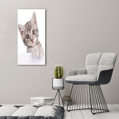 Large canvas wall art Gray cat