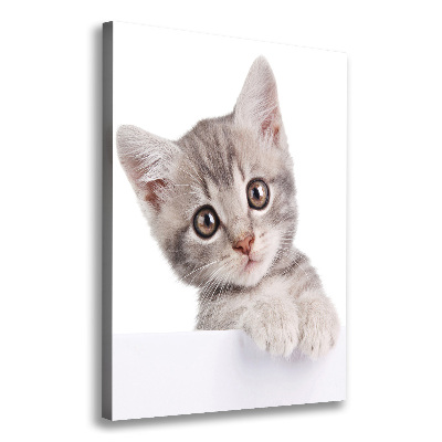 Large canvas wall art Gray cat