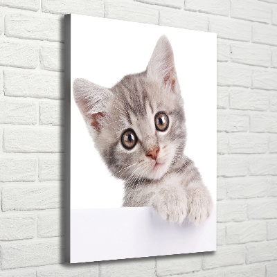 Large canvas wall art Gray cat