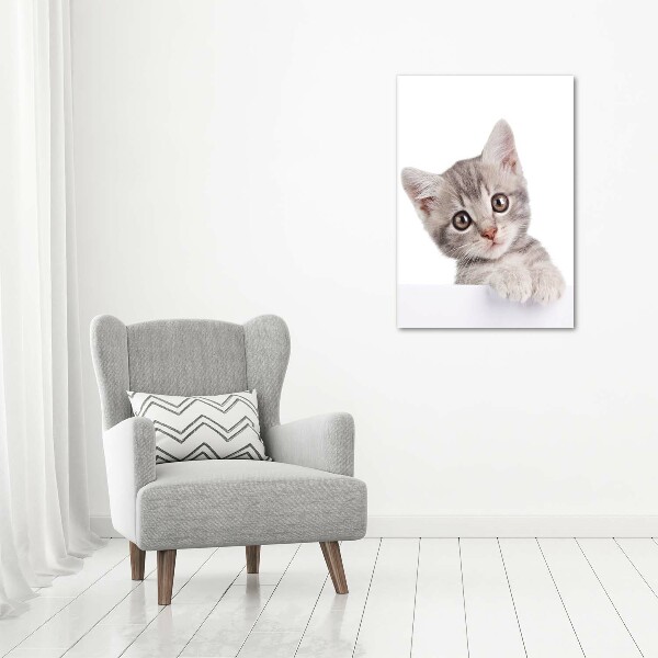 Large canvas wall art Gray cat