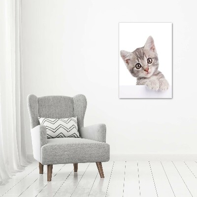 Large canvas wall art Gray cat