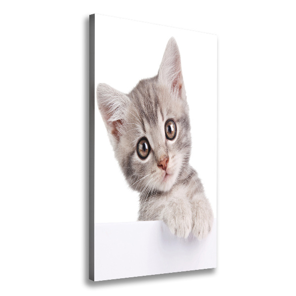 Large canvas wall art Gray cat