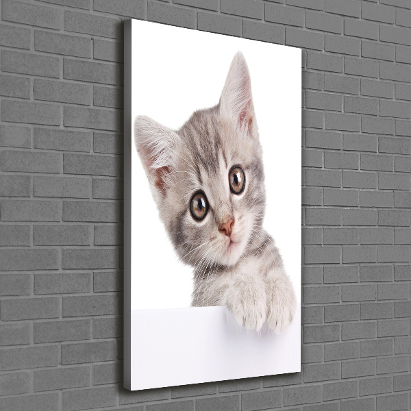 Large canvas wall art Gray cat