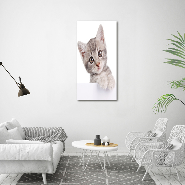 Large canvas wall art Gray cat