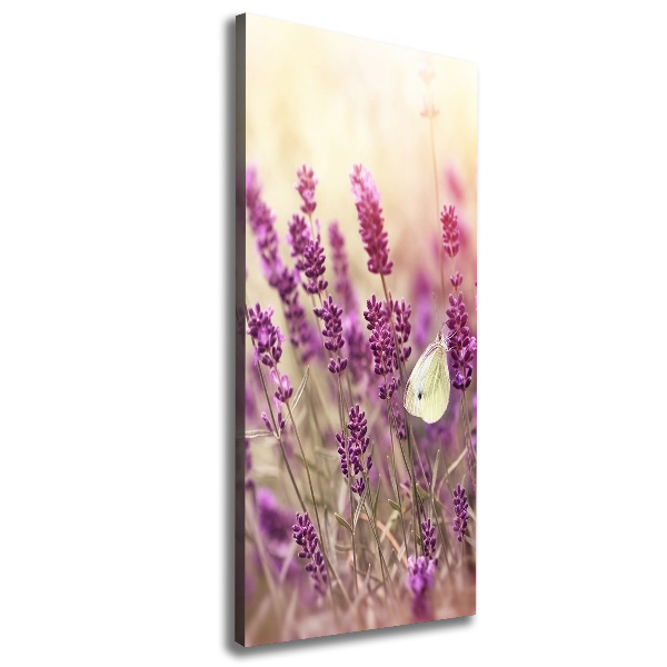 Canvas wall art Lavender flowers