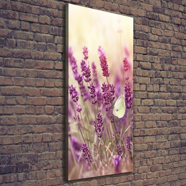 Canvas wall art Lavender flowers