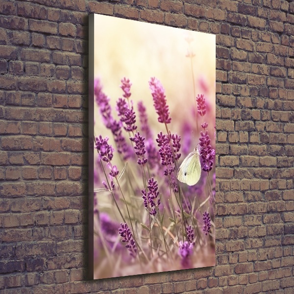 Canvas wall art Lavender flowers