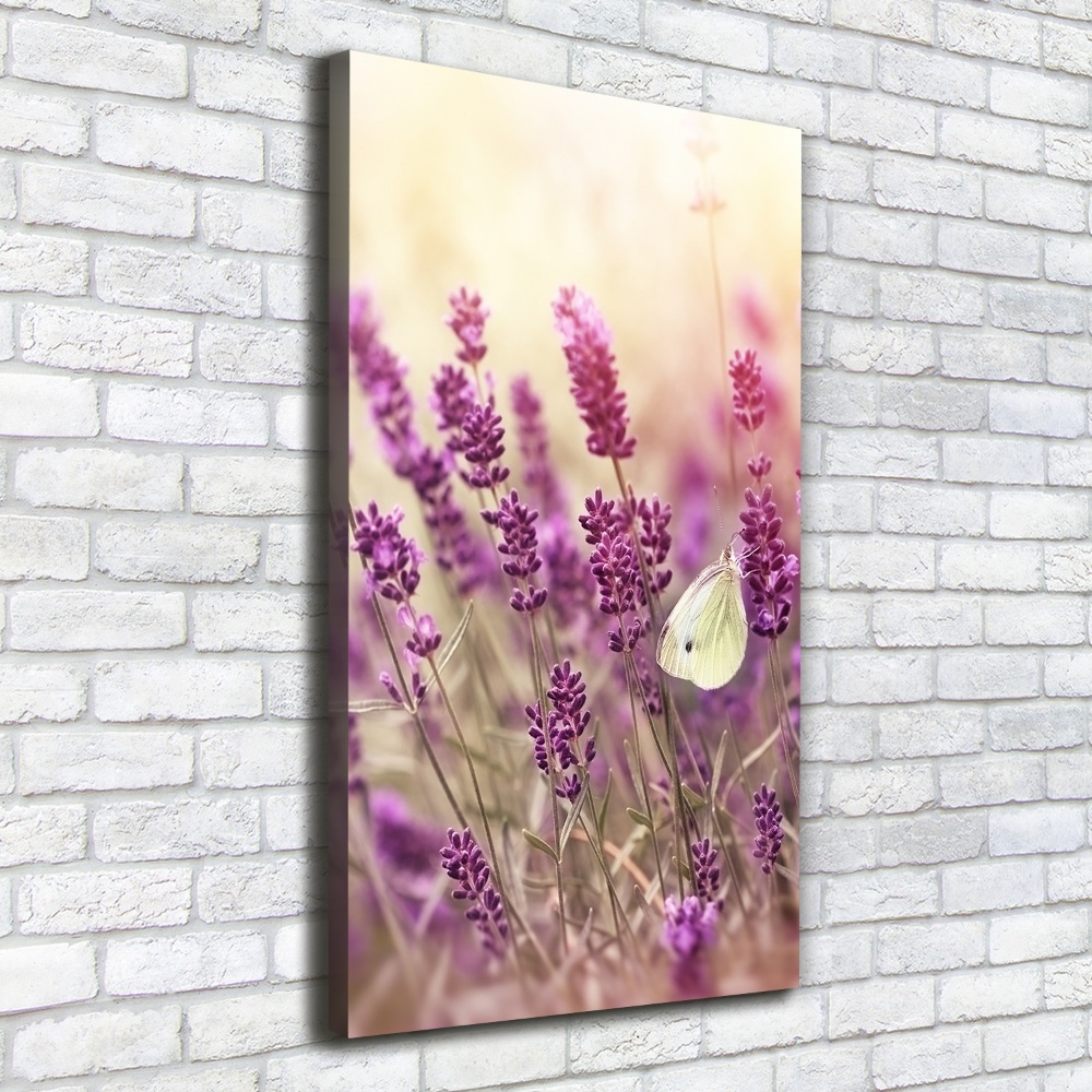 Canvas wall art Lavender flowers