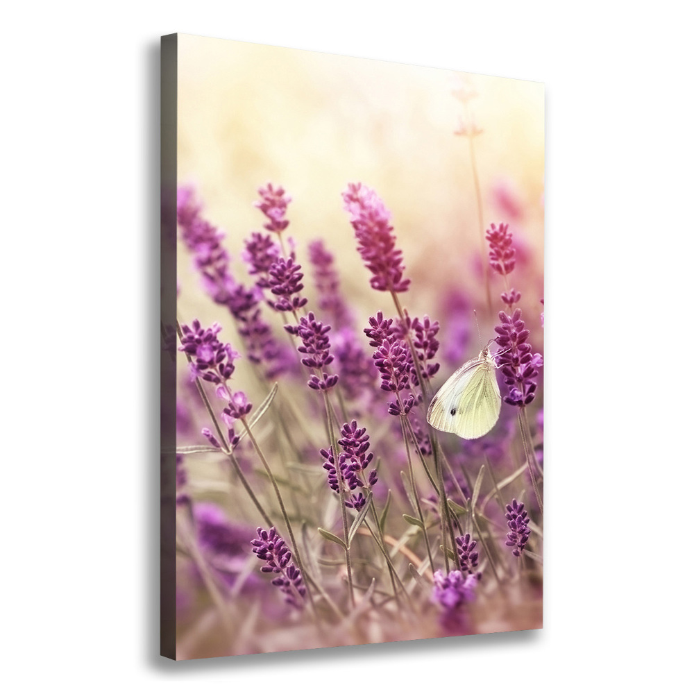 Canvas wall art Lavender flowers