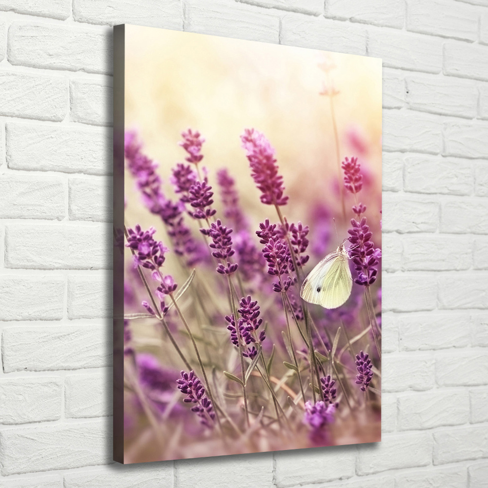 Canvas wall art Lavender flowers