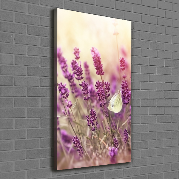 Canvas wall art Lavender flowers