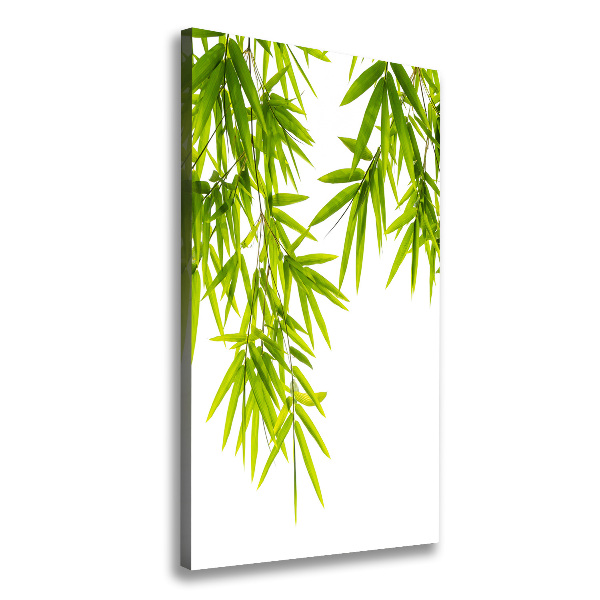 Canvas print Bamboo leaves