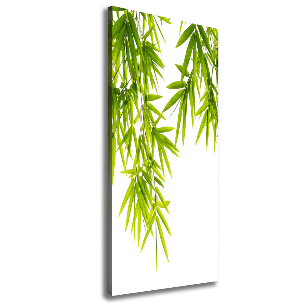 Canvas print Bamboo leaves