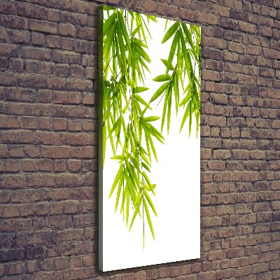 Canvas print Bamboo leaves