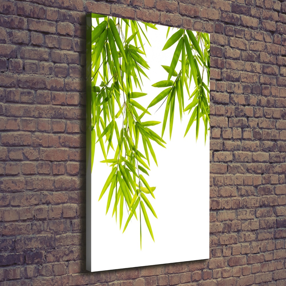 Canvas print Bamboo leaves