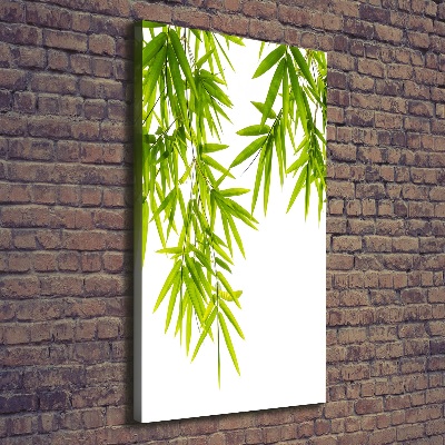 Canvas print Bamboo leaves