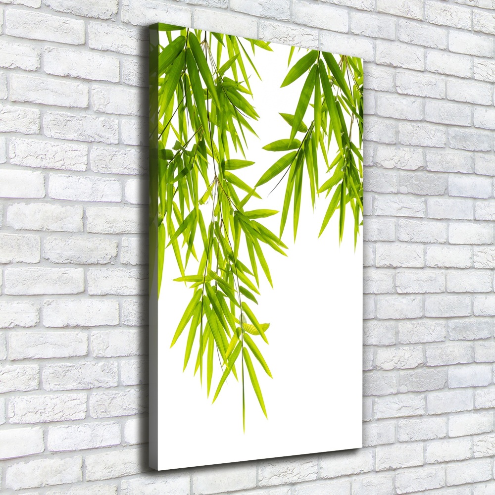 Canvas print Bamboo leaves