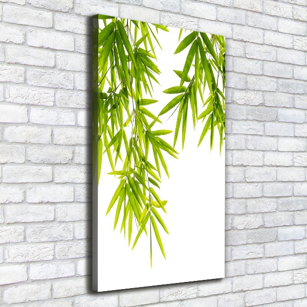 Canvas print Bamboo leaves