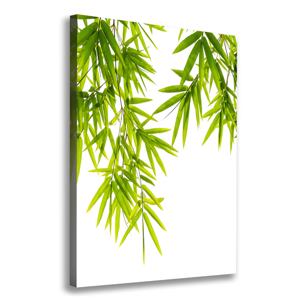 Canvas print Bamboo leaves