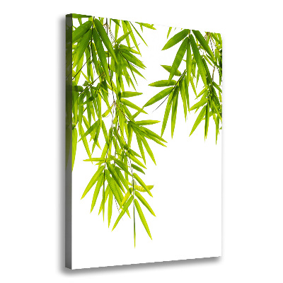 Canvas print Bamboo leaves