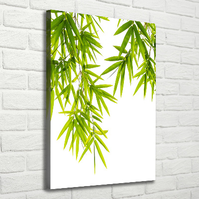 Canvas print Bamboo leaves