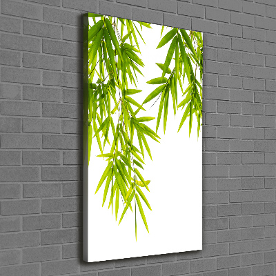 Canvas print Bamboo leaves