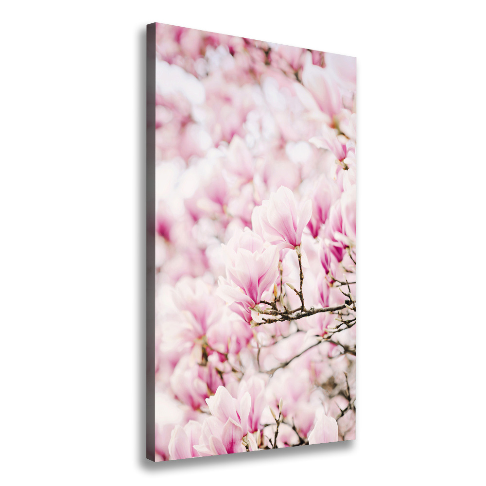 Large canvas wall art Magnolia flowers