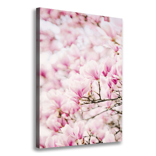 Large canvas wall art Magnolia flowers