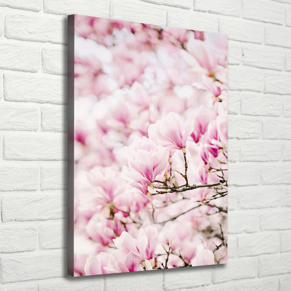 Large canvas wall art Magnolia flowers